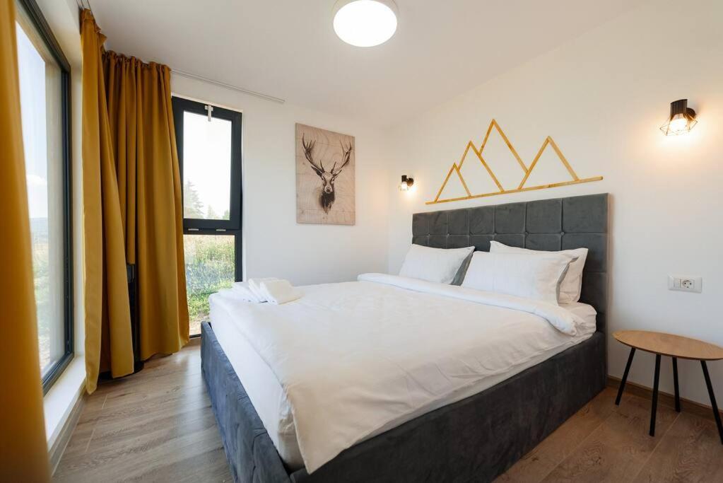 Cozy Cube - Tiny House Villa Saru Dornei Exterior foto