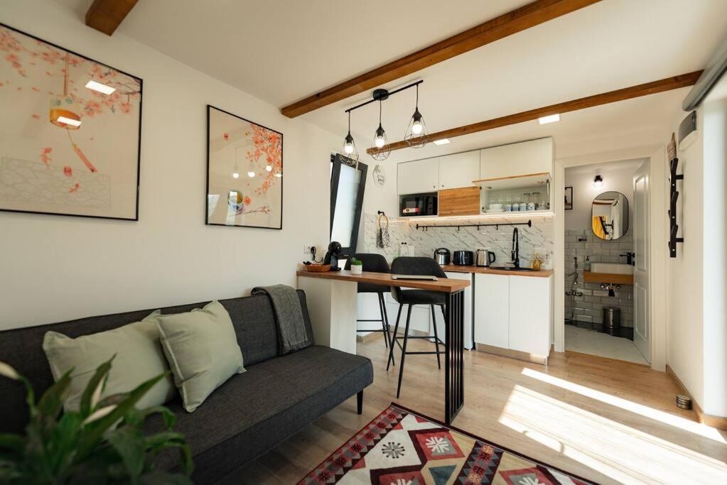 Cozy Cube - Tiny House Villa Saru Dornei Exterior foto